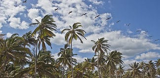 Undiscovered EcoTourism Destinations in Colombia Ecotourism in Colombia