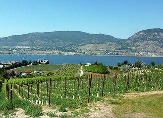 Naramata Bench: A Unique Wine-Country Experience Naramata Bench Wine Country in Canada