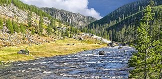 What to Expect on a Yellowstone Safari Safari in Yellowstone National Park, USA