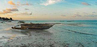 Exploring Mafia Island Tanzania: The ‘Far From Everything’ Place! Island in Tanzania