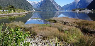 Milford Sound Day Trip: The Queenstown Conundrum Milford Sound tour, New Zealand