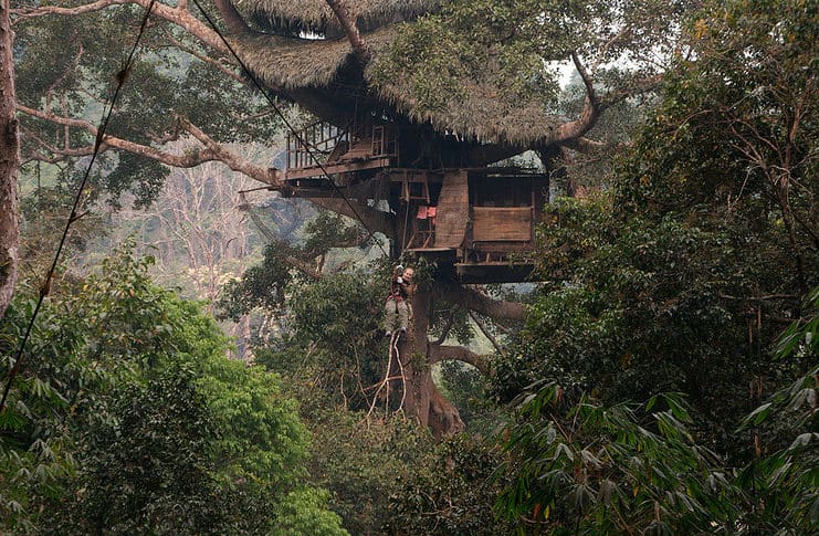 The Gibbon Experience – What to Bring & What to Watch Out For The Gibbon Experience in Laos
