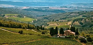 Biking Through the Vineyards of Chianti, Italy Cycling through the vineyards of Chianti