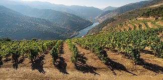 Visiting the Douro Wine Valley in Northern Portugal Douro wine region