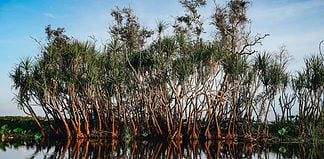 Recommended Day Trips from Darwin Kakadu National Park - day trips from Darwin, Australia