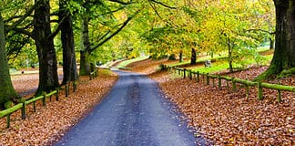 Walking Tracks of Ireland’s Mid West Mote Park, Ireland