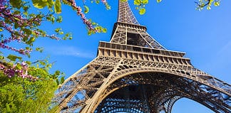A Guide to Visiting Paris in the Spring Eiffel Tower with spring tree in Paris, France