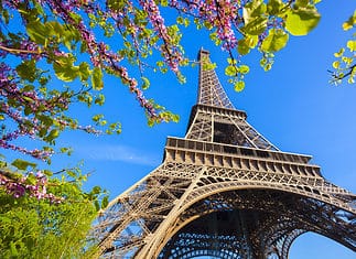 Eiffel Tower with spring tree in Paris, France