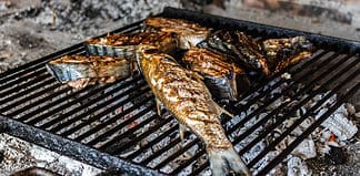 Everything you Need to Know about Dia de Camões Sardines for Dia de Camões, the Portuguese Independence Day.