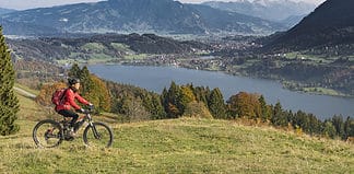 A Sustainable Bavaria Travel Guide, Germany Cycling in the Bavarian Forest in Germany.