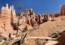 The Best Trails For Hiking in Utah’s National Parks Hiking through the hoodoos on the Queen’s Garden Trail in Utah, USA.