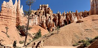 The Best Trails For Hiking in Utah’s National Parks Hiking through the hoodoos on the Queen’s Garden Trail in Utah, USA.