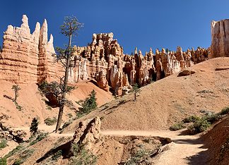 The Best Trails For Hiking in Utah’s National Parks Hiking through the hoodoos on the Queen’s Garden Trail in Utah, USA.