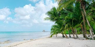 Road Trips in Mexico: The Best Routes Palms at the beach in Mexico.