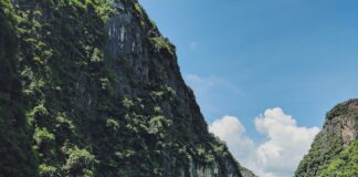 Snorkeling in Thailand: A Guide to Koh Phi Phi, Krabi & Koh Lanta Snorkeling in Thailand