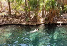 Australian Northern Territory: A Journey from Alice Springs to Darwin - Category – Australia