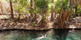 Australian Northern Territory: A Journey from Alice Springs to Darwin - Homepage - Travel Dudes