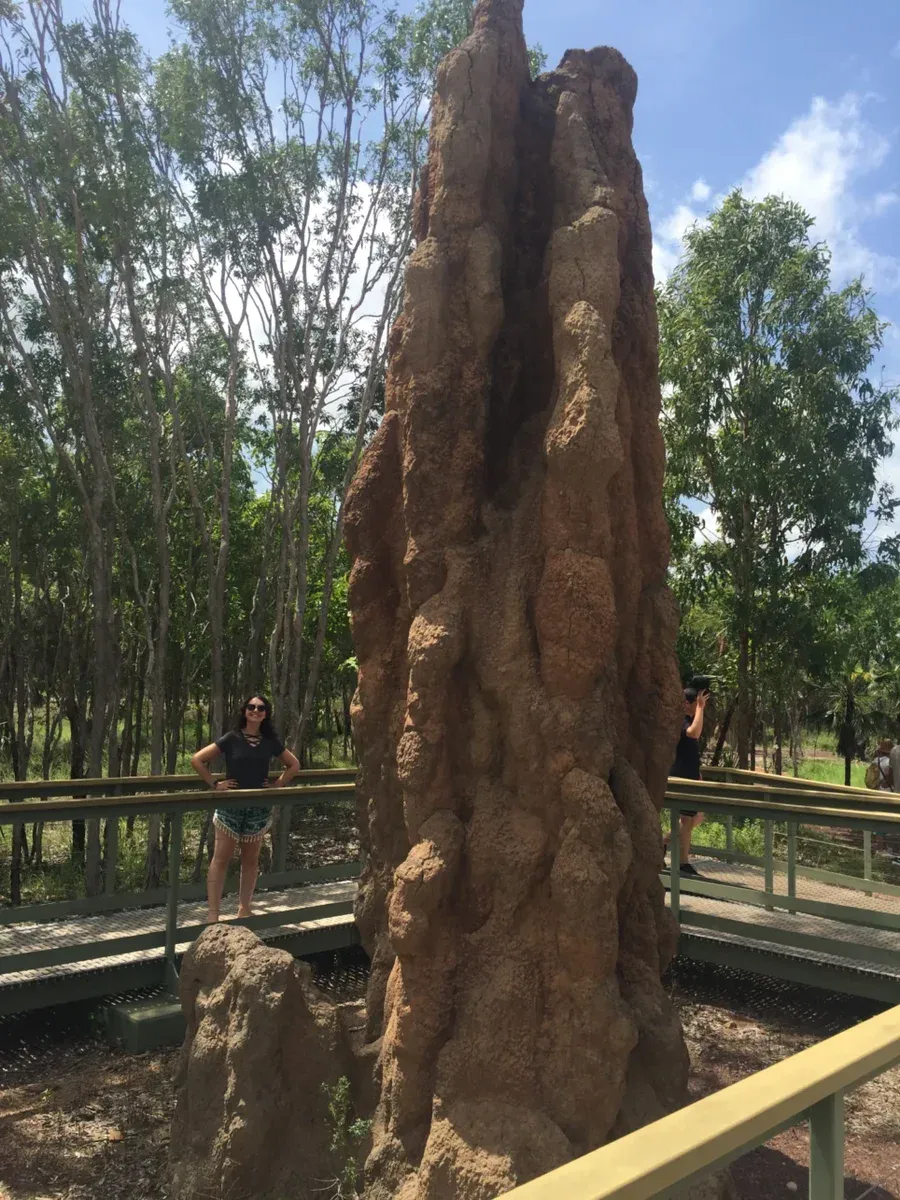 Northern Territory - Australian Northern Territory: A Journey from Alice Springs to Darwin