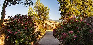 Cultural Places Near Pompeii to Explore, Italy Walkway surrounded by flowering bushes at Pompeii, Italy, taken at dusk,