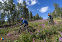 Summer in Lapland: Experience Mountain Biking & Hiking in Levitunturi South Route at the Levi Bike Park in Lapland, Finland.