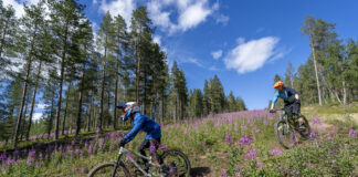 Summer in Lapland: Experience Mountain Biking & Hiking in Levitunturi South Route at the Levi Bike Park in Lapland, Finland.