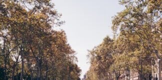 10 Reasons to Visit Barcelona in Autumn Sunny Barcelona street during autumn