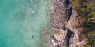 Exploring the Best Snorkeling Spots in the Dominican Republic from Punta Cana The Aquarium - Snorkeling spot at Catalina Island in the Dominican Republic.