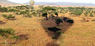 Serengeti Balloon Safari in Tanzania Hot Air Balloon ride in the Serengeti. Photo by David Berkowitz via flickr.