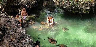 Uncovering the Hidden Gems of Stunning Nungwi in Zanzibar Swimming with turtles at Mnarani Natural Aquarium in Nungwi, Zanzibar, Tanzania.