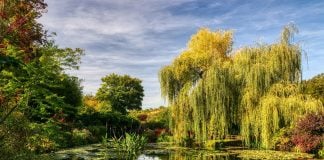 Claude Monet’s House: How to Plan a Giverny Day Trip from Paris Monet's Garden in Giverny, France.