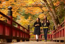 Navigating Internet Access in Japan: A Traveler’s Guide Exploring Japan - Navigate Internet Access