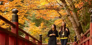 Navigating Internet Access in Japan: A Traveler’s Guide Exploring Japan - Navigate Internet Access