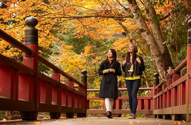 Navigating Internet Access in Japan: A Traveler’s Guide Exploring Japan - Navigate Internet Access