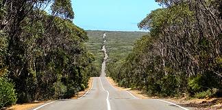 Do I Need an International Driving License for Australia Road on Kangaroo Island