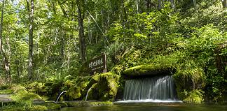 Exploring Kamikawa: Adventures in the Center of Hokkaido The source at the Daisetsuzan Gensui Park. ©Hendrik-Morkel