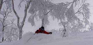 Beginners Allowed: A JAPOW Paradise for Skiers of all Levels A JApanese POWder Dream.