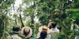 Complete Guide to Experiencing a Mountain Gorilla-Tracking Safari in Uganda Bwindi Impenetrable National Park, Uganda