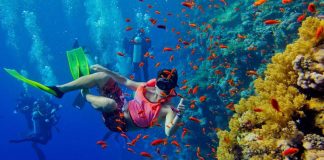 Where to go Snorkeling in Zanzibar Snorkeling Tours In Zanzibar Beach