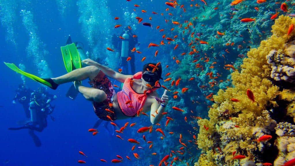 Where To Go Snorkeling In Zanzibar Travel Dudes Where To Go Snorkeling In Zanzibar Travel Dudes