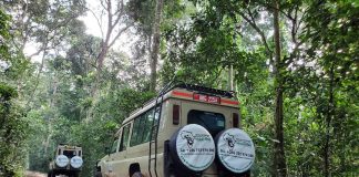 Reasons to Visit Lake Mburo National Park in Uganda Planning a safari in Uganda
