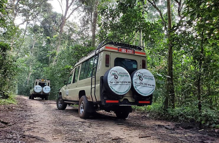 Reasons to Visit Lake Mburo National Park in Uganda Planning a safari in Uganda