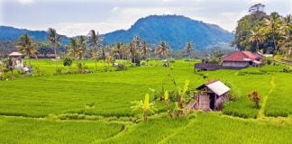 1 Day Ubud Itinerary: Unveiling Bali’s Hidden Gems with Thrilling Adventures Aerial from rice terraces in Sidemen on Bali Indonesia