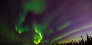 How to Get the Most Out of Your Northern Lights Tour Northern Ligts Experience in Northern Norway.