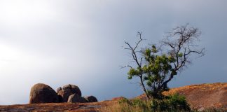 A Guide to Visiting Matobo Hills in Zimbabwe Matobo Hills in Zimbabwe