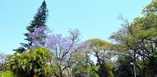 Your Ultimate Guide to Booking Airport Transfers in Zambia Airport transfers in Zambia