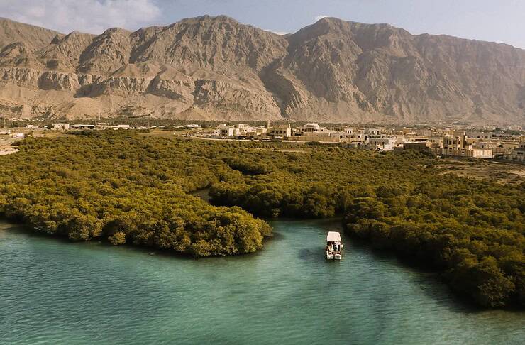 Ras Al Khaimah Experiences: Nature, Culture & Thrills Await You! The mangroves in Ras Al Khaimah, UAE
