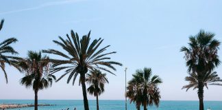 10 The Best Cities for Digital Nomads La Barceloneta in Spain