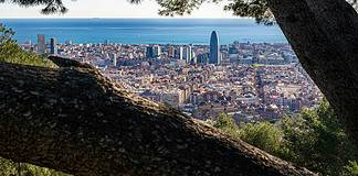 Barcelona in July: Events and Activities