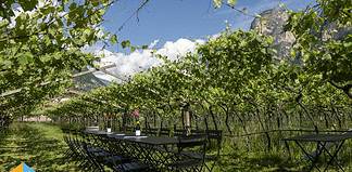 Lago di Ledro & Lago di Molveno: Your Perfect Dolce Vita Alpine Escape Who wouldn't want to have lunch here?! The DE VIGILI winery in Mezzolombardo, Italy.