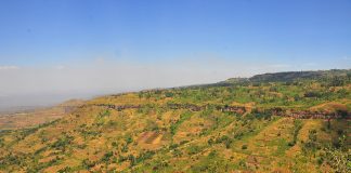 Guide to Hiking in Uganda’s Mountains Kapchorwa in the Mountain Elgon National Park, Uganda.